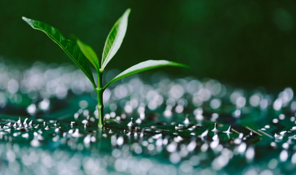 Etika Pelaksanaan Aqiqah